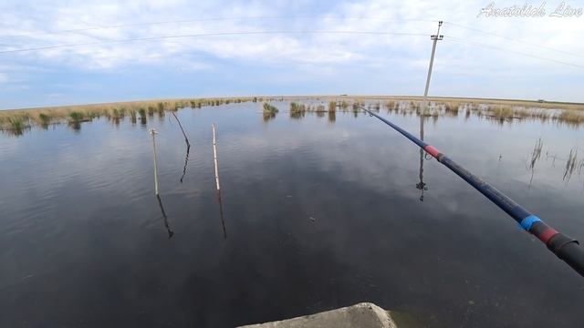 Рыбалка на Паук (подъемник) VS удочка (поплавочка) Вот так бывает... Рыба сама выпрыгивает из воды. смотреть онлайн