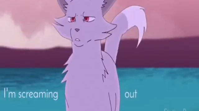 Коты Воители Иглохвостка смотреть онлайн