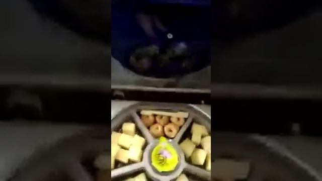 Мастерство Гастронома