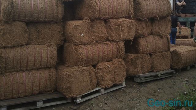 Биоматы смотреть онлайн