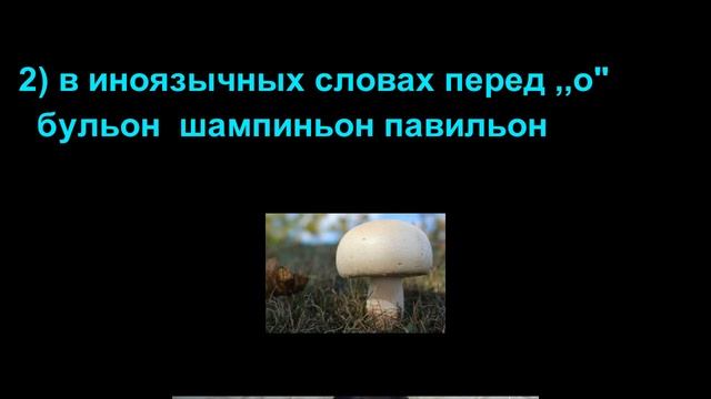 Разделительный твердый ,,ъ" и разделительный ,,ь" знаки в русском языке. смотреть онлайн