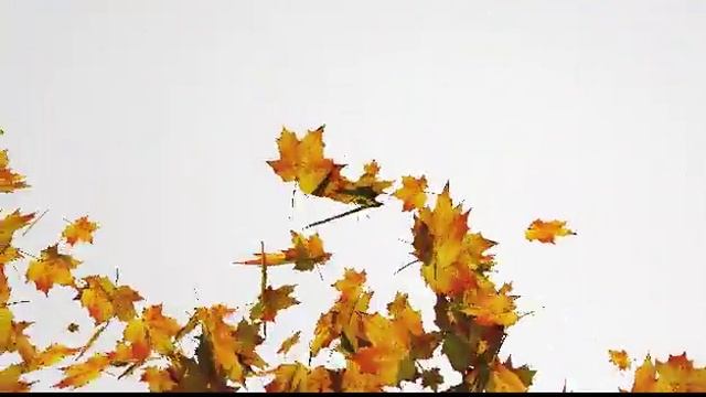 Blender Particles and Fields смотреть онлайн