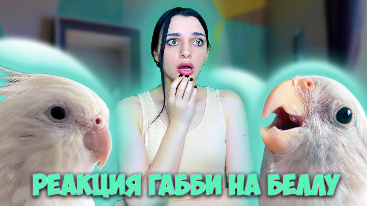 РЕАКЦИЯ ГАББИ НА БЕЛЛУ / перестал уделять мне внимание !? смотреть онлайн