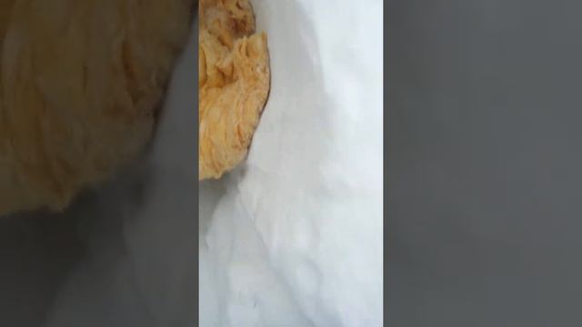 Моя авантюра с розами. Часть 10 (хранение роз в снеге) смотреть онлайн