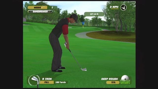 Tiger Woods PGA Tour '06 (Gamecube) смотреть онлайн