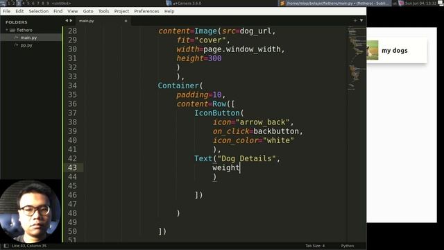 Flet Tutorial - Create Hero Animation смотреть онлайн