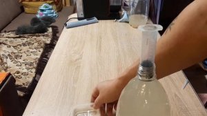 Как очистить и промыть инфузорию перед кормлением малька