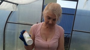 Как правильно сажать перцы в теплице! Самый удачный способ