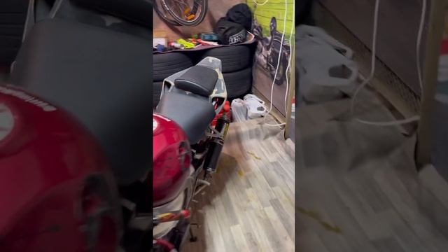 Honda CBR 900 FireBlade смотреть онлайн