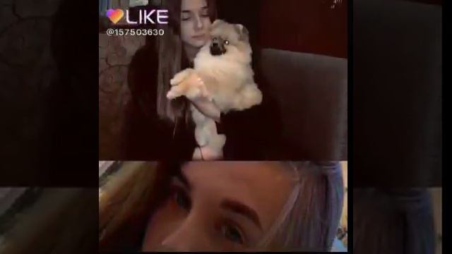 Диана зайцева смотреть онлайн