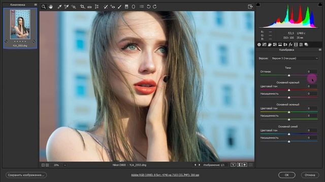 Знакомьтесь - Camera RAW. Что она еще умеет? Фильтры, эффекты, цветокор. Часть 4
