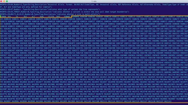 VCF File Format Explained | General Structure & Columns смотреть онлайн