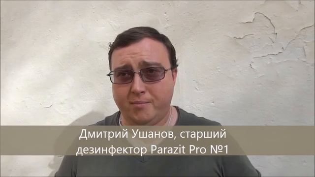 Как избавиться от моли смотреть онлайн