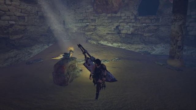 All Rise Rare Endemic Life - 5 SECRET MONSTERS - Showcase + Location - Monster Hunter Rise! смотреть онлайн