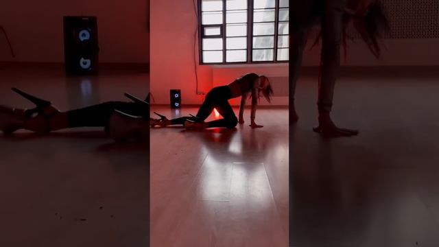 Sarah Fimm - Lioness стрип пластика #dance #frameupstrip #poledance #2023 #спб #beautiful смотреть онлайн
