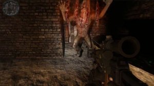 Прохождение Тайные Тропы 2 + Autumn Aurora 2 #34 "В поисках ПДА для Борова"