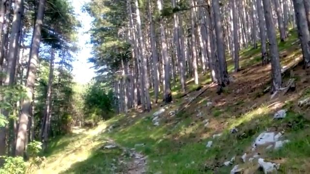 черногория спуск с горы ловчен ютуб смотреть онлайн