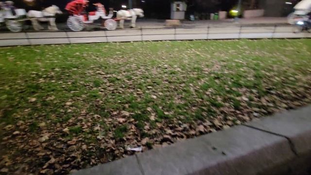 Чинары дают нам тень от палящего солнца, а их листва - это естественное удобрение для почвы смотреть онлайн