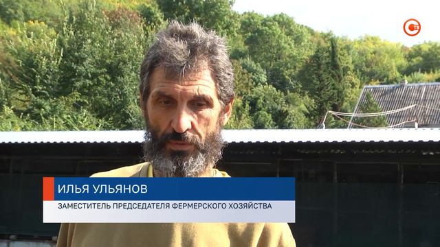 В Севастополе развивают промышленный туризм смотреть онлайн