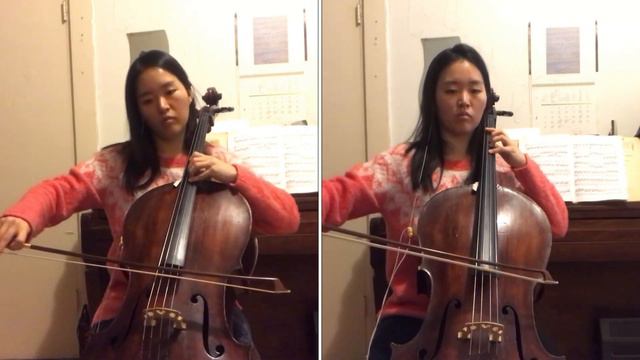 Pirates of Caribbean mini Medley (cello cover) смотреть онлайн