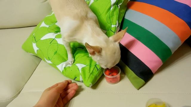 VLOG: Рабочий день / Лепим из пластилина / Клим пылесосит / Много сирени смотреть онлайн