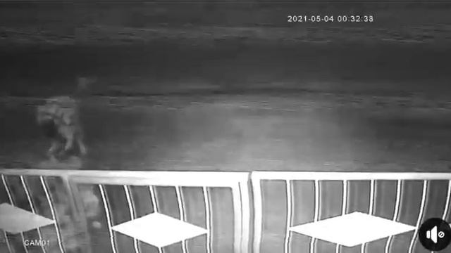 ворует цветы смотреть онлайн