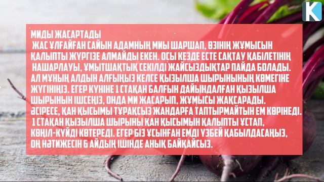 ҚЫЗЫЛША ШЫРЫНЫ СІЗДІ МЫҚТЫ ЕТЕДІ, Миыңыз қатты істейді, 7 АУРУДАН САҚТАЙДЫ, Керек арнасы