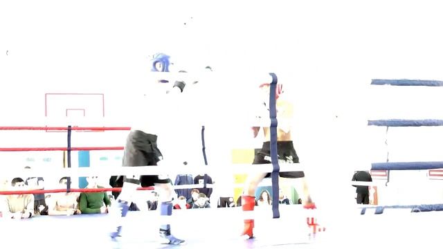 FN SLT ММА открытй ринг г.Смоленск 23.04.2016 смотреть онлайн