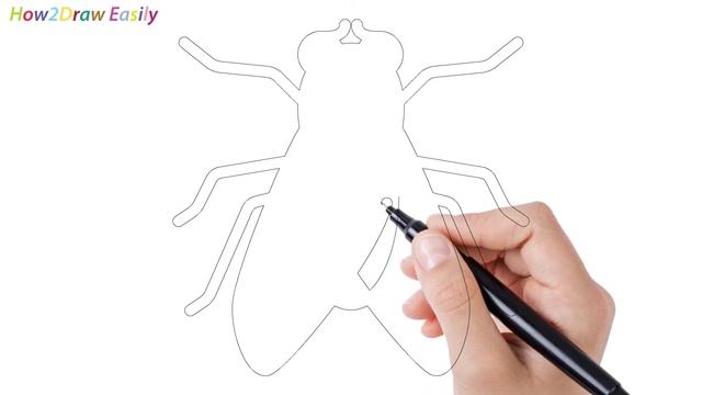 How to Draw a Fly | Easy Drawing - Coloring смотреть онлайн