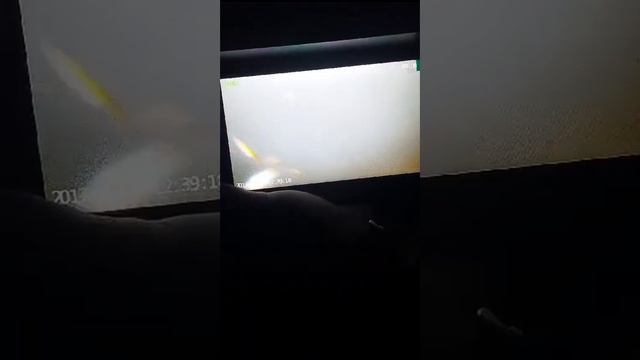 лучшая подводная камера  FocusFish ночная съёмка