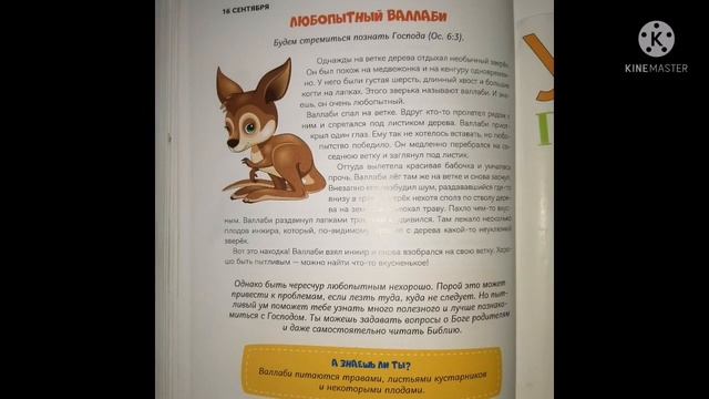 16 сентября. Любопытный валлаби. смотреть онлайн