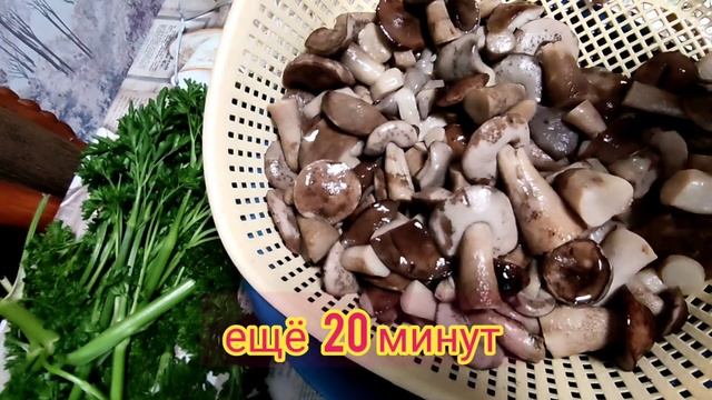 Маринованные целые грибы. Рецепт чем проще тем вкуснее. смотреть онлайн