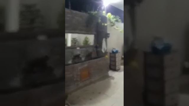 строительство домов и фасад ручной работы, всевозможные строительные и отделочные работы смотреть онлайн