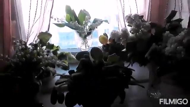 Франция 1мая отмечает день Ландышей,а я , ещё и день Сирени бы отметила. смотреть онлайн