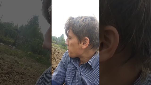 Алексей Щербаков. Огород смотреть онлайн