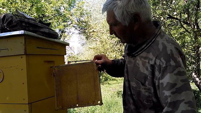 Эффективный Улей Василия Приятеленко: Как Живут и Продуктивно Работают Пчелы в Хорошем Улье? смотреть онлайн