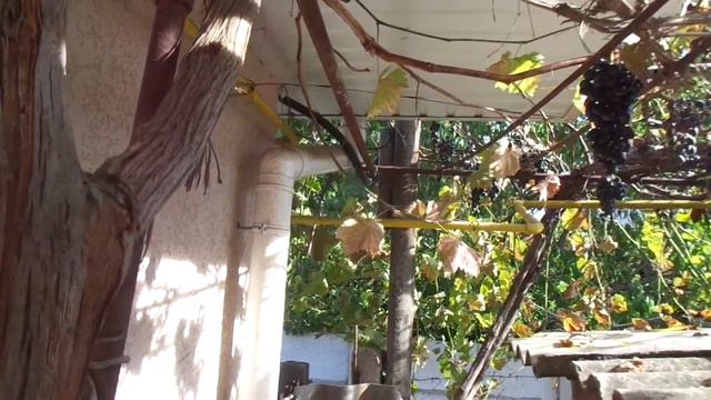 вопросы и проблемы