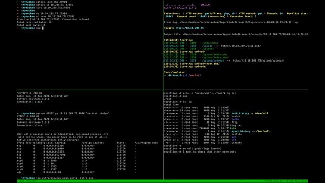 Rooting TryHackMe KOTH Lion Machine With Different Attack Vectors