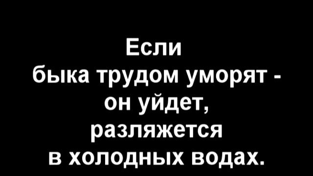 Маяковский Лиличка смотреть онлайн