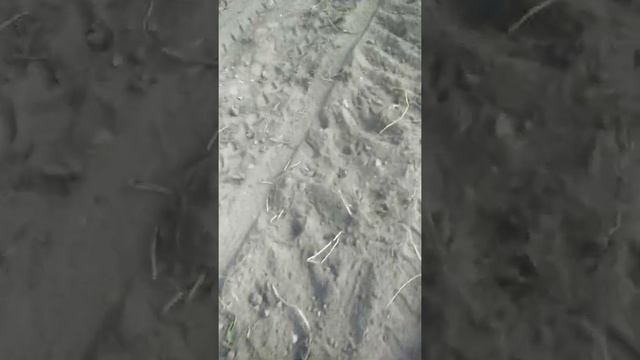 Зид и Лёха копалка смотреть онлайн
