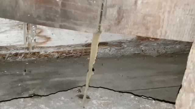 ИЗБА Двухгротовая. Зимняя ночёвка в ИЗБЕ, которая находится в скале. смотреть онлайн