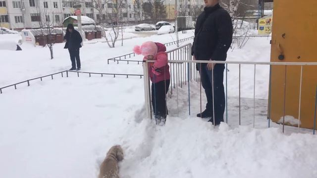 Девочка играет с Собачкой. Воронеж 10.03.2018 г. (1)  IMG 6189