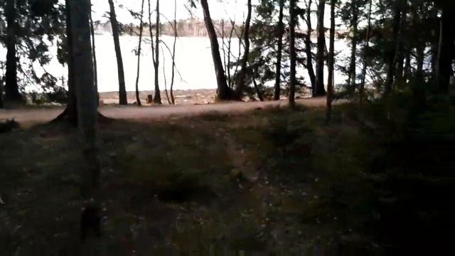 Лиса, вернись, я все прощу... смотреть онлайн