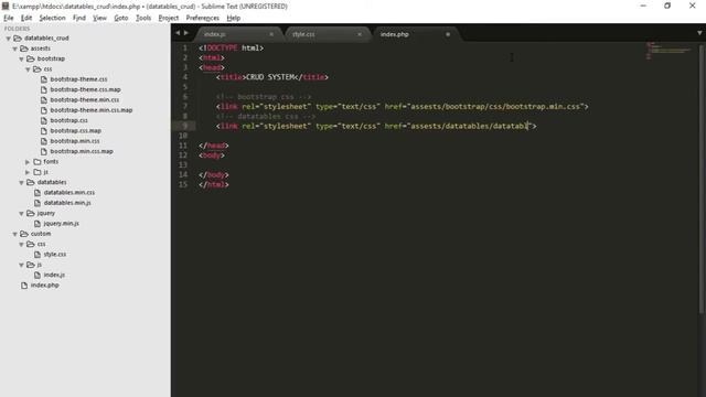 Datatable CRUD Part 3 Setting assets file and project folder смотреть онлайн