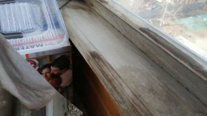 Горячее Копчение Окорочков(без Отваривания)/Как Закоптить Куриные Ножки/Маринад для Засолки/(0+)