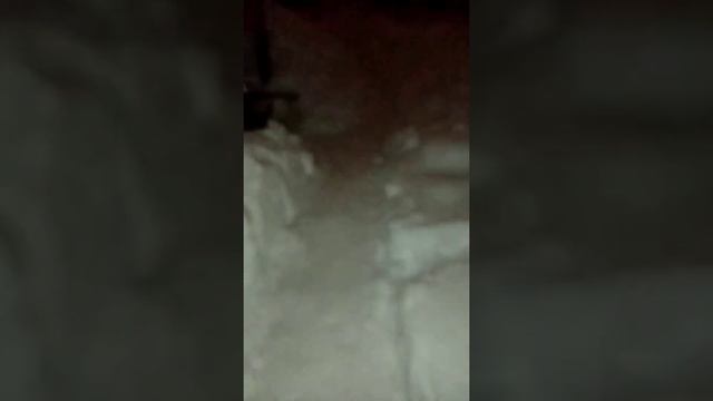 Что делать мужику зимой в доме? смотреть онлайн