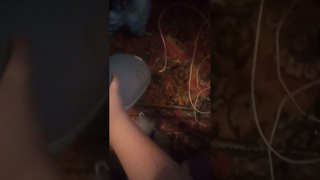 купили колонку Маруся и происходит мистика смотреть онлайн