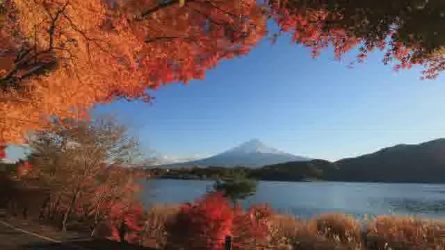 А за окном резвится снова осень. смотреть онлайн
