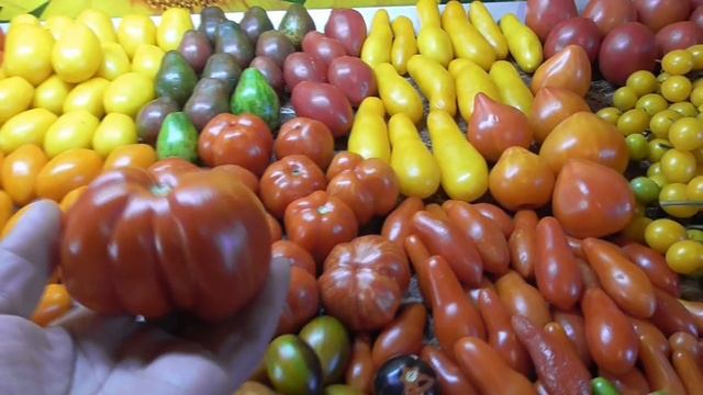 Какие сорта томатов лучше всего подходят для зимнего хранения? смотреть онлайн