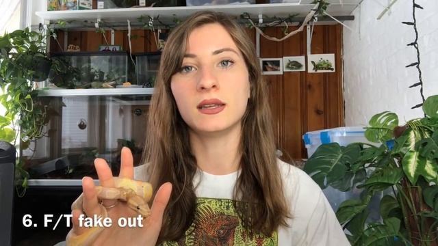 How to Switch from Live to Frozen Thawed Mice! смотреть онлайн